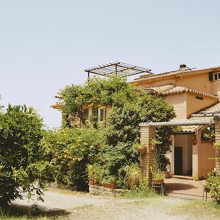 Agroturistica Villa Mantineo Capo Vaticano Room photo